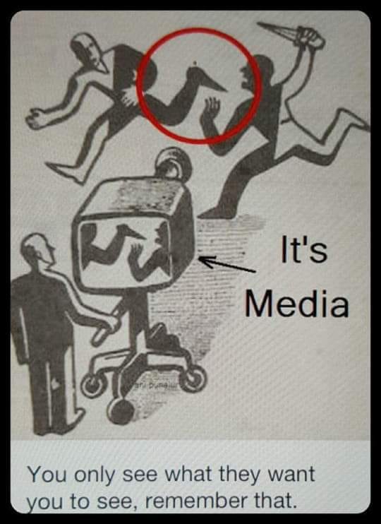 Media See